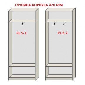 Шкаф распашной серия «ЗЕВС» (PL3/С1/PL2) в Кировграде - kirovgrad.mebel24.online | фото 8