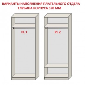 Шкаф распашной серия «ЗЕВС» (PL3/С1/PL2) в Кировграде - kirovgrad.mebel24.online | фото 9