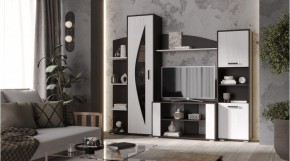 СИДНЕЙ Гостиная в Кировграде - kirovgrad.mebel24.online | фото 1