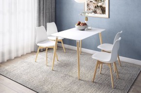 СКАНДИ 1 Стол обеденный в Кировграде - kirovgrad.mebel24.online | фото 1