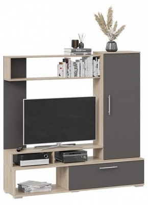 Стенка для гостиной Сиена в Кировграде - kirovgrad.mebel24.online | фото 2
