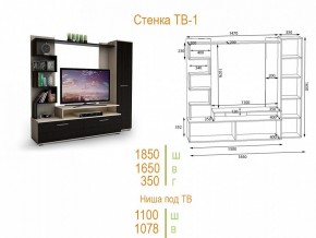 Стенка для гостиной ТВ-1 в Кировграде - kirovgrad.mebel24.online | фото 2