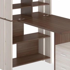 Стол компьютерный Домино Лайт СТЛ-ОВХ+С100Прям в Кировграде - kirovgrad.mebel24.online | фото 3