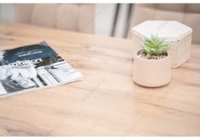 Стол обеденный Тринити Лофт 120 в Кировграде - kirovgrad.mebel24.online | фото 6