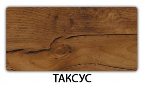 Стол раскладной-бабочка Трилогия пластик Тростник в Кировграде - kirovgrad.mebel24.online | фото 13