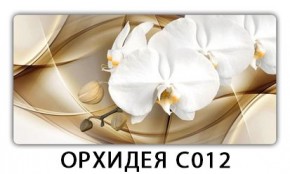 Стол раздвижной Трилогия с фотопечатью Доска D112 в Кировграде - kirovgrad.mebel24.online | фото 13