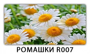 Стол раздвижной Трилогия с фотопечатью Доска D112 в Кировграде - kirovgrad.mebel24.online | фото 15