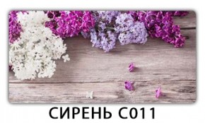 Стол раздвижной Трилогия с фотопечатью Доска D112 в Кировграде - kirovgrad.mebel24.online | фото 16