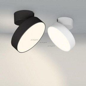 Светильник на штанге Arlight SP-RONDO-FLAP-R210-20W Day4000 (BK, 110 deg) 026453 в Кировграде - kirovgrad.mebel24.online | фото 3