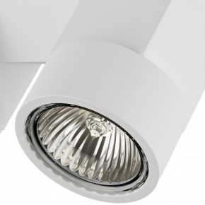 Светильник на штанге Lightstar Illumo X2 051036 в Кировграде - kirovgrad.mebel24.online | фото 2