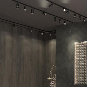 Светильник на штанге Novotech Elina 370777 в Кировграде - kirovgrad.mebel24.online | фото 4