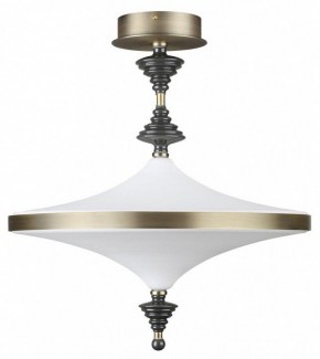 Светильник на штанге Odeon Light Ula 5404/43CL в Кировграде - kirovgrad.mebel24.online | фото
