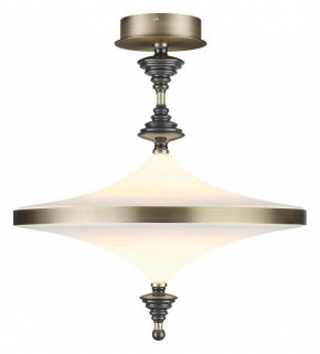Светильник на штанге Odeon Light Ula 5404/43CL в Кировграде - kirovgrad.mebel24.online | фото 2