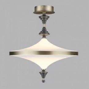 Светильник на штанге Odeon Light Ula 5404/43CL в Кировграде - kirovgrad.mebel24.online | фото 3