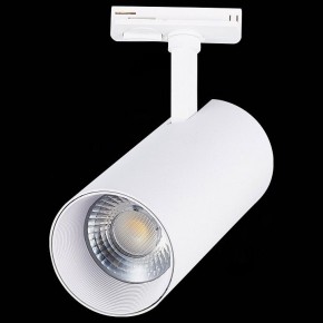 Светильник на штанге ST-Luce Mono ST350.536.30.36 в Кировграде - kirovgrad.mebel24.online | фото 6