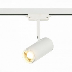 Светильник на штанге ST-Luce Zoom ST600.536.12 в Кировграде - kirovgrad.mebel24.online | фото 2