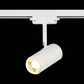 Светильник на штанге ST-Luce Zoom ST600.536.12 в Кировграде - kirovgrad.mebel24.online | фото 4