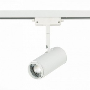 Светильник на штанге ST-Luce Zoom ST600.546.12 в Кировграде - kirovgrad.mebel24.online | фото 3