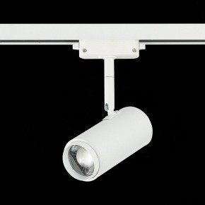 Светильник на штанге ST-Luce Zoom ST600.546.12 в Кировграде - kirovgrad.mebel24.online | фото 5