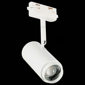 Светильник на штанге ST-Luce Zoom ST600.546.12 в Кировграде - kirovgrad.mebel24.online | фото 6