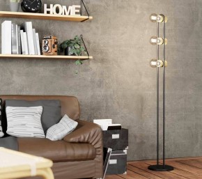 Торшер Eglo ПРОМО Chieveley 43544 в Кировграде - kirovgrad.mebel24.online | фото 2