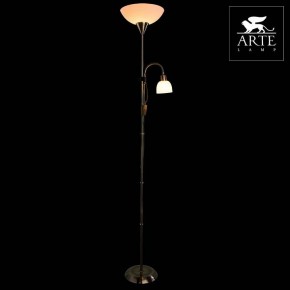 Торшер с подсветкой Arte Lamp Duetto A9569PN-2AB в Кировграде - kirovgrad.mebel24.online | фото 3