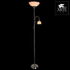 Торшер с подсветкой Arte Lamp Duetto A9569PN-2SS в Кировграде - kirovgrad.mebel24.online | фото 3