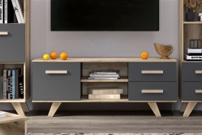 Тумба под ТВ Вега Скандинавия в Кировграде - kirovgrad.mebel24.online | фото 4