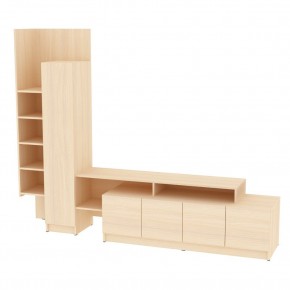 ТВ стенка TV45 в Кировграде - kirovgrad.mebel24.online | фото 10