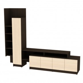 ТВ стенка TV45 в Кировграде - kirovgrad.mebel24.online | фото 9