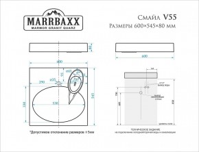 Умывальник над стиральной машиной (600*545*80) Смайл V55D1 (белый) с кронштейном без сифона (V55D1) в Кировграде - kirovgrad.mebel24.online | фото 2