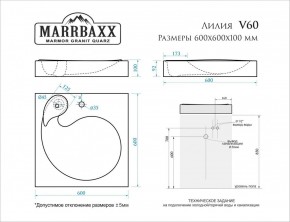 Умывальник над стиральной машиной (600*600х100) Лилия V60 (белый) с кронштейном без сифона (V60) в Кировграде - kirovgrad.mebel24.online | фото 2